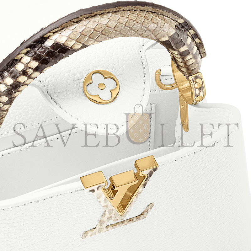 LOUIS VUITTON CAPUCINES MINI N98477 (21*14*8cm)